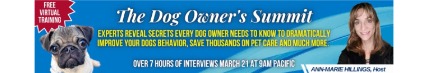 The Dog Owner Summit summit banner